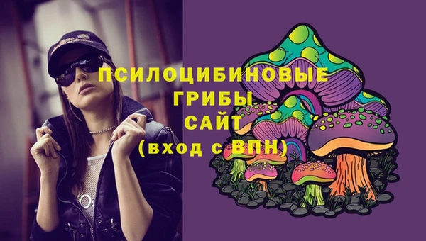 молекула духа Алексеевка