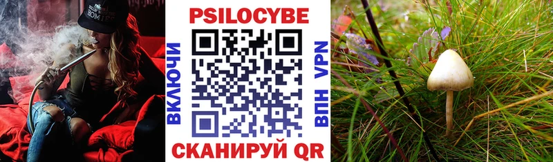 Псилоцибиновые грибы мицелий  как найти наркотики  Апатиты 